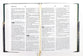 KJV Study Bible Large Print Gold Spruce (Red Letter Edition)