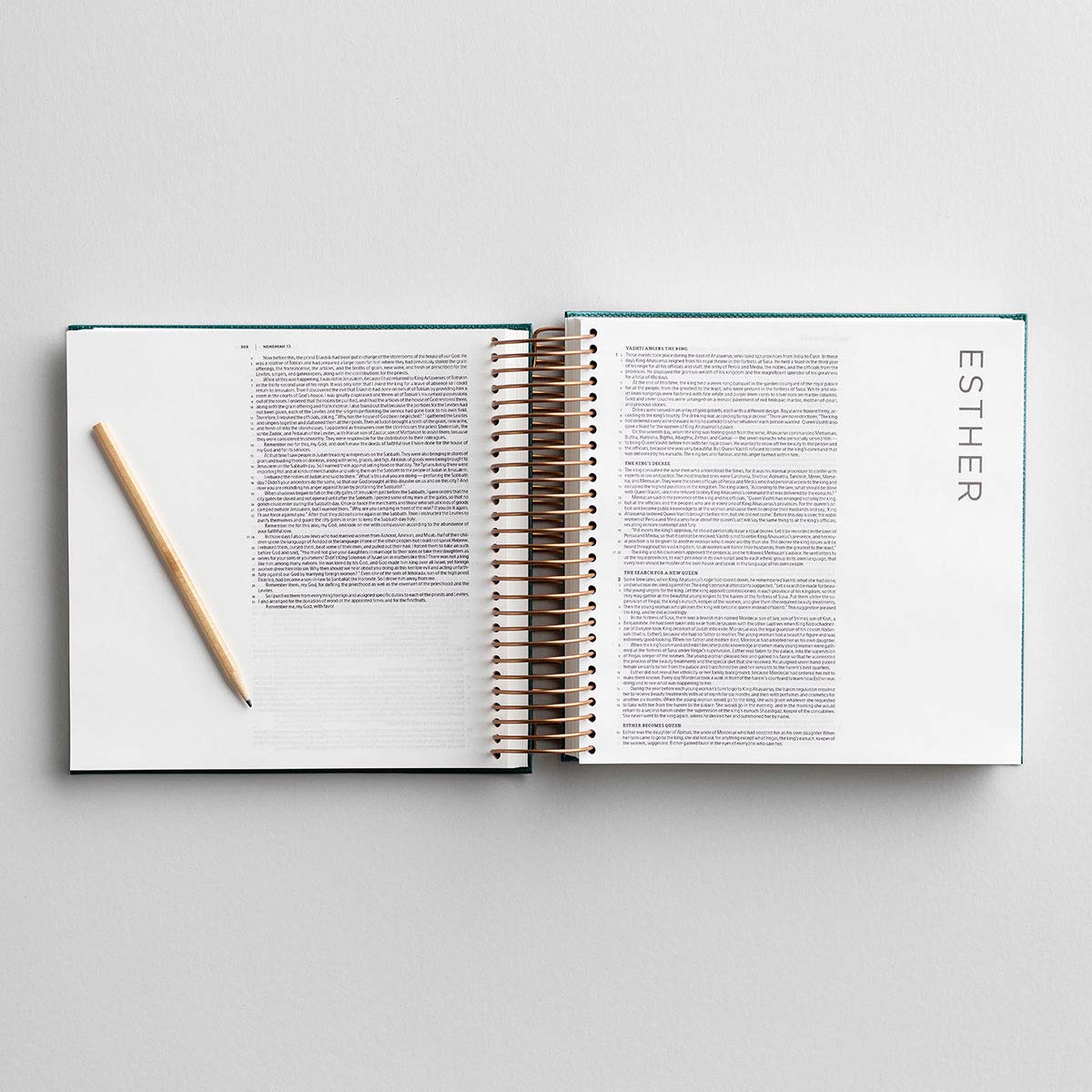 CSB Illustrating Bible Green Faux Leather (Black Letter Edition)