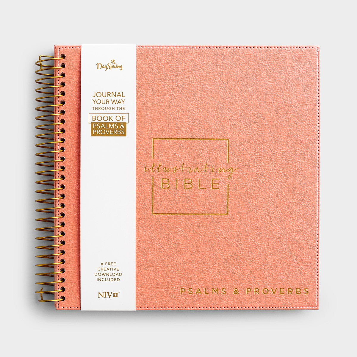 NIV Illustrating Bible Psalms & Proverbs Coral With Keepsake Faux-Suede Flat Cover (Black Letter Edition)