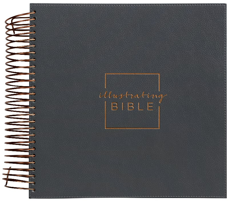 NIV Illustrating Bible Dark Gray Faux Leather (Black Letter Edition)
