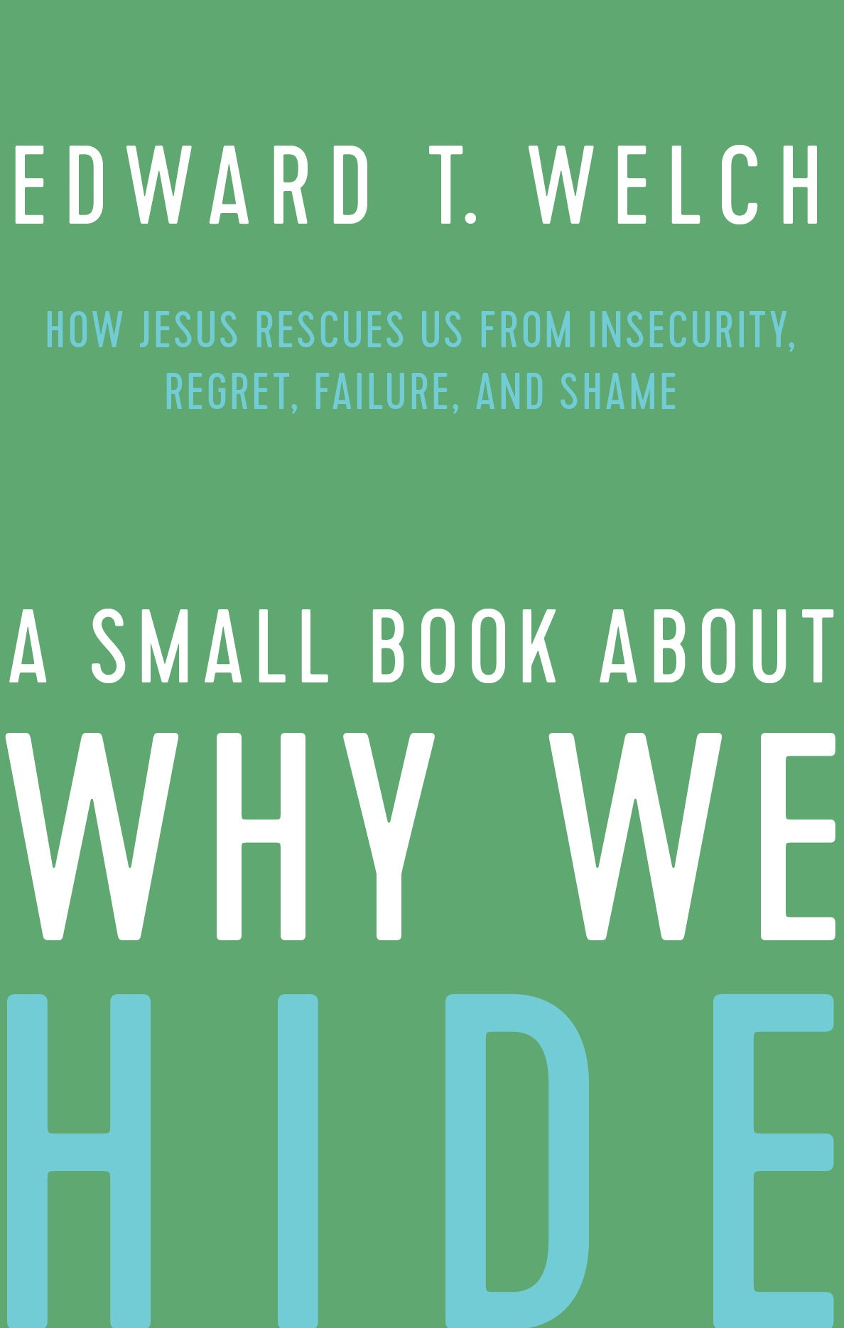 A Small Book About Why We Hide: How Jesus Rescues Us From Insecurity, Regret, Failure, and Shame