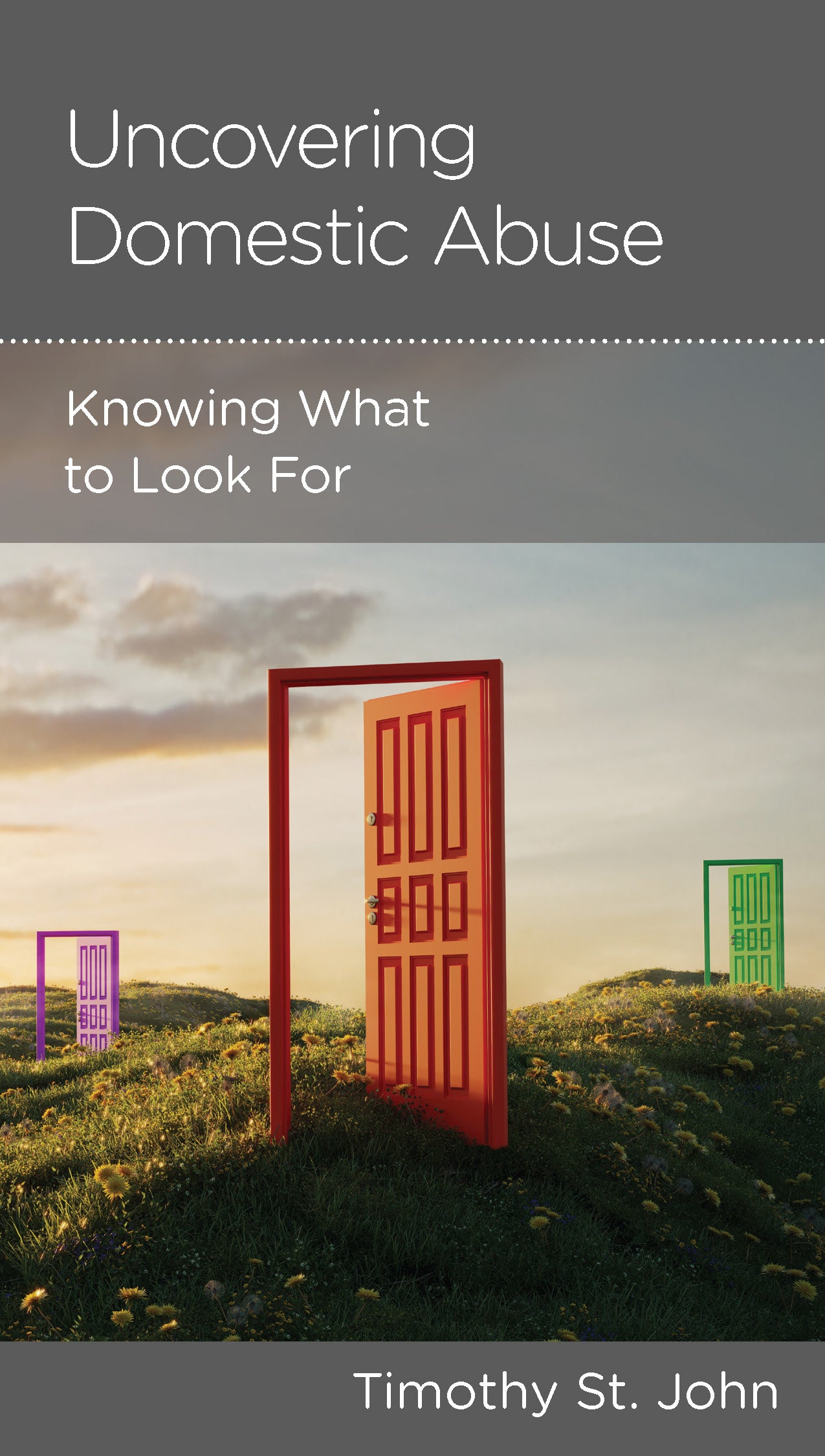 Uncovering Domestic Abuse: Knowing What to Look For (Minibook)