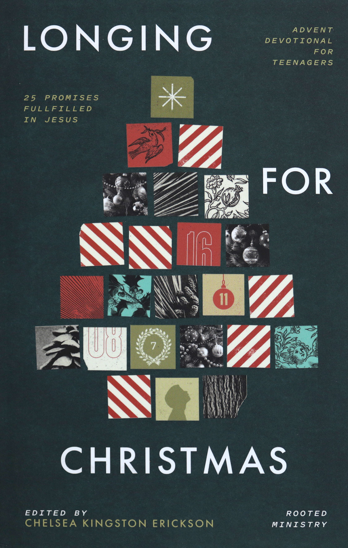 Longing for Christmas: 25 Promises Fulfilled in Jesus, Advent Devotional for Teenagers