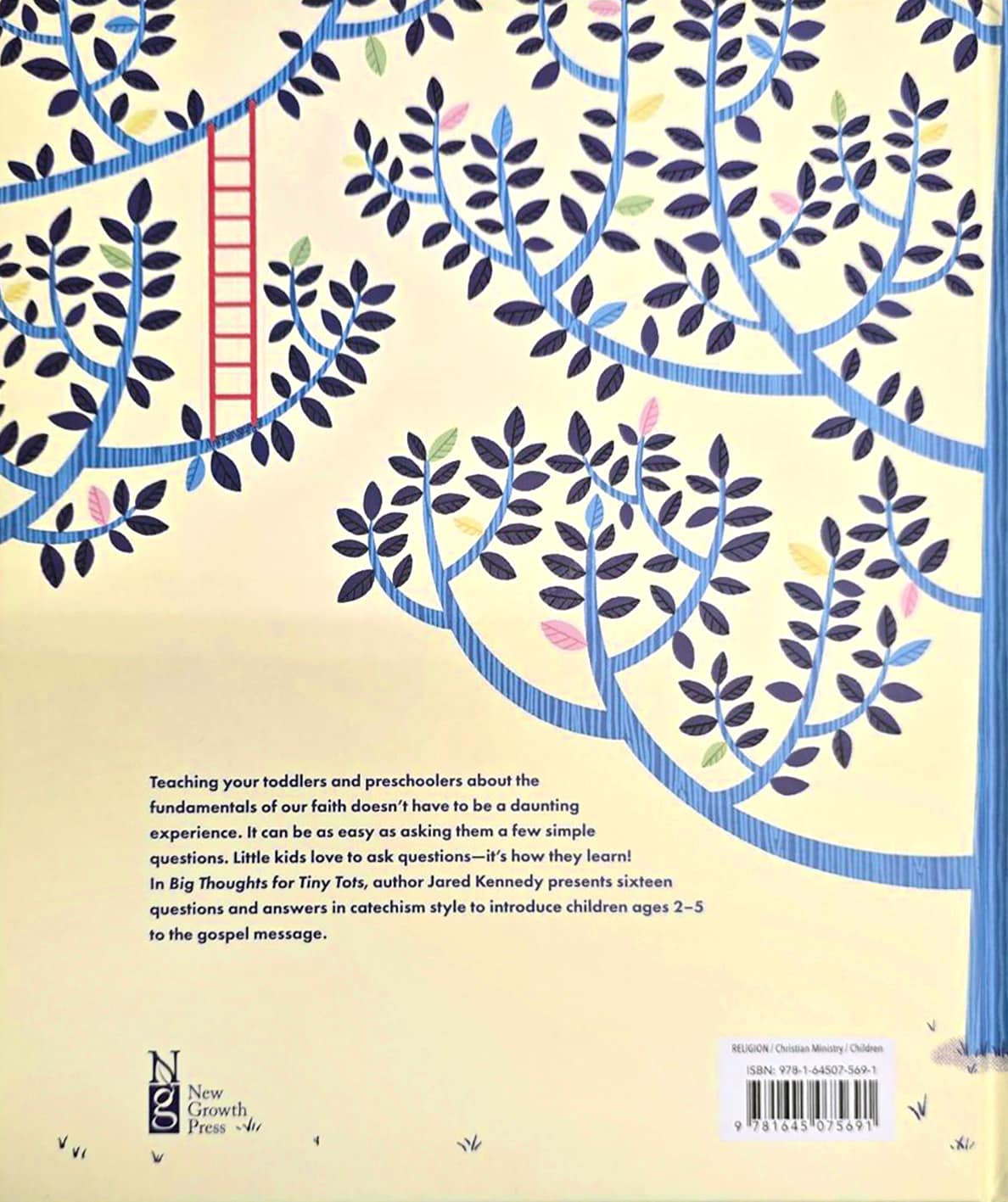 Big Thoughts for Tiny Tots: A Beginner's Gospel Story Book of Questions and Answers