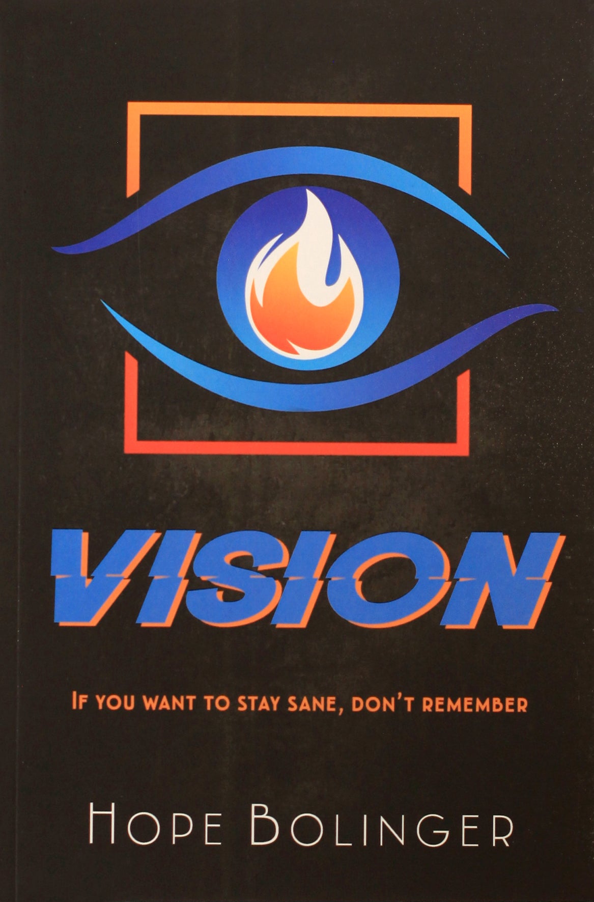 Vision: If You Want to Stay Sane, Don't Remember