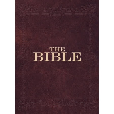 WEB The World English Bible: The Public Domain Bible (Large Print, updated 2023)