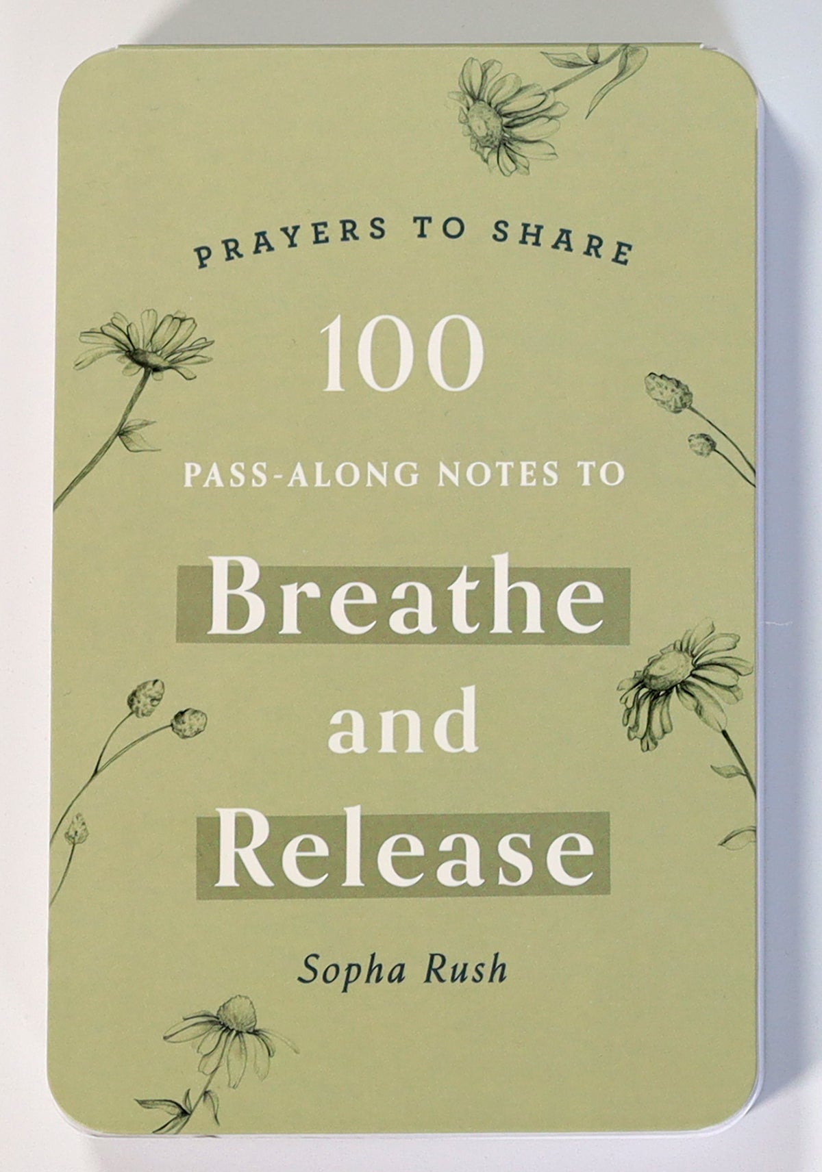 Prayers to Share: 100 Pass-Along Notes to Breathe and Release