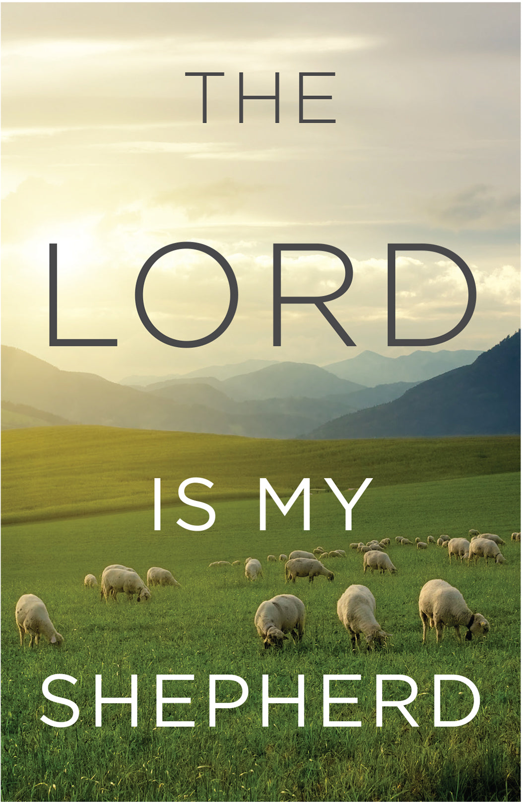 Lord is My Shepherd, the KJV (Redesign) (25 Pack)
