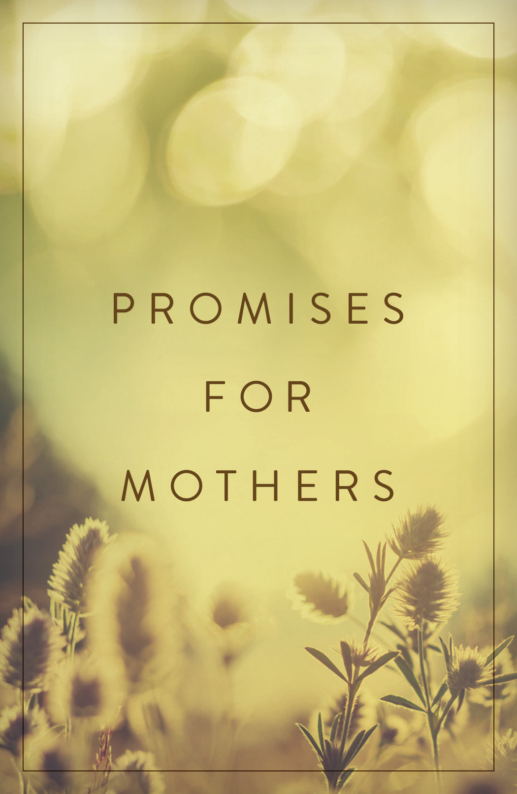 Promises For Mothers (ESV) (25 Pack)