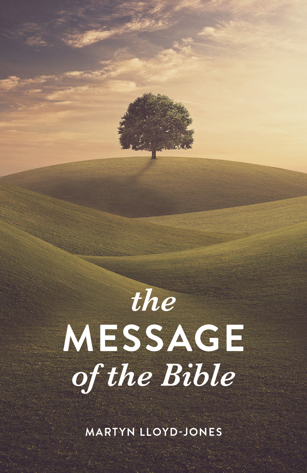 Message of the Bible, the KJV (25 Pack)