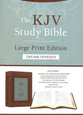 KJV Study Bible Large Print Indexed Teal Inlay (Red Letter Edition)