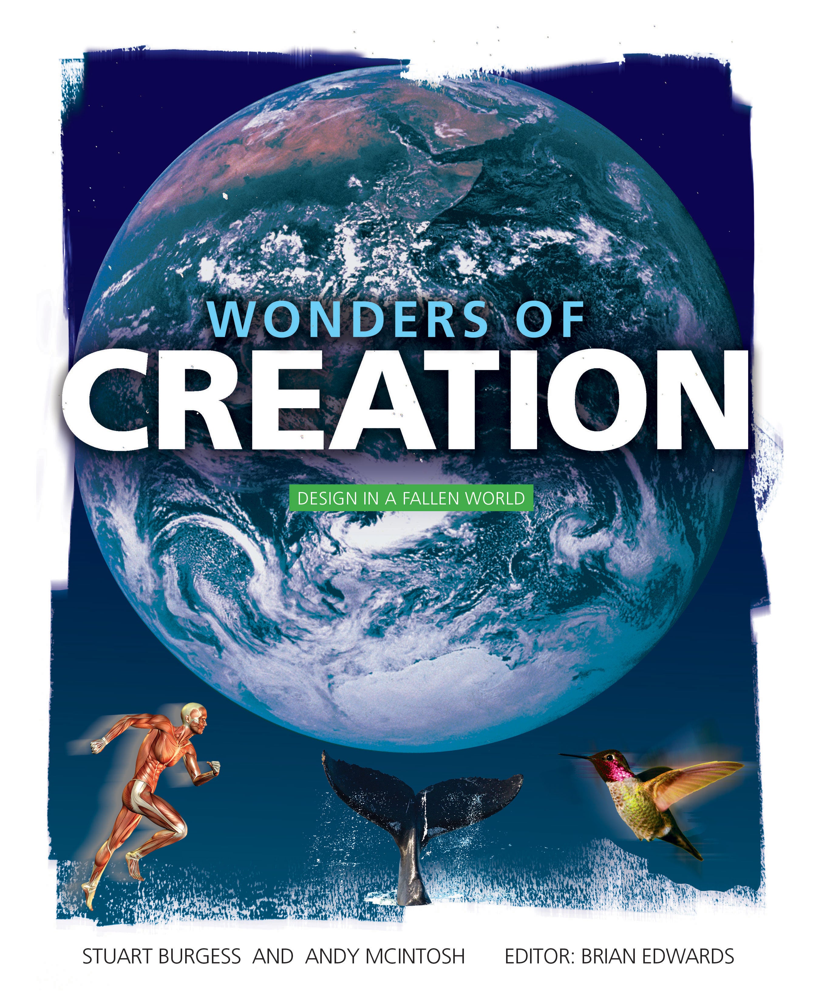 Wonders of Creation: Design in a Fallen World