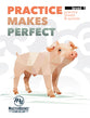 Practice Makes Perfect : Supplement to Math Lessons For a Living Education Level 1 (Ages 6-7) (Level 1) (Lessons For A Living Education Series)