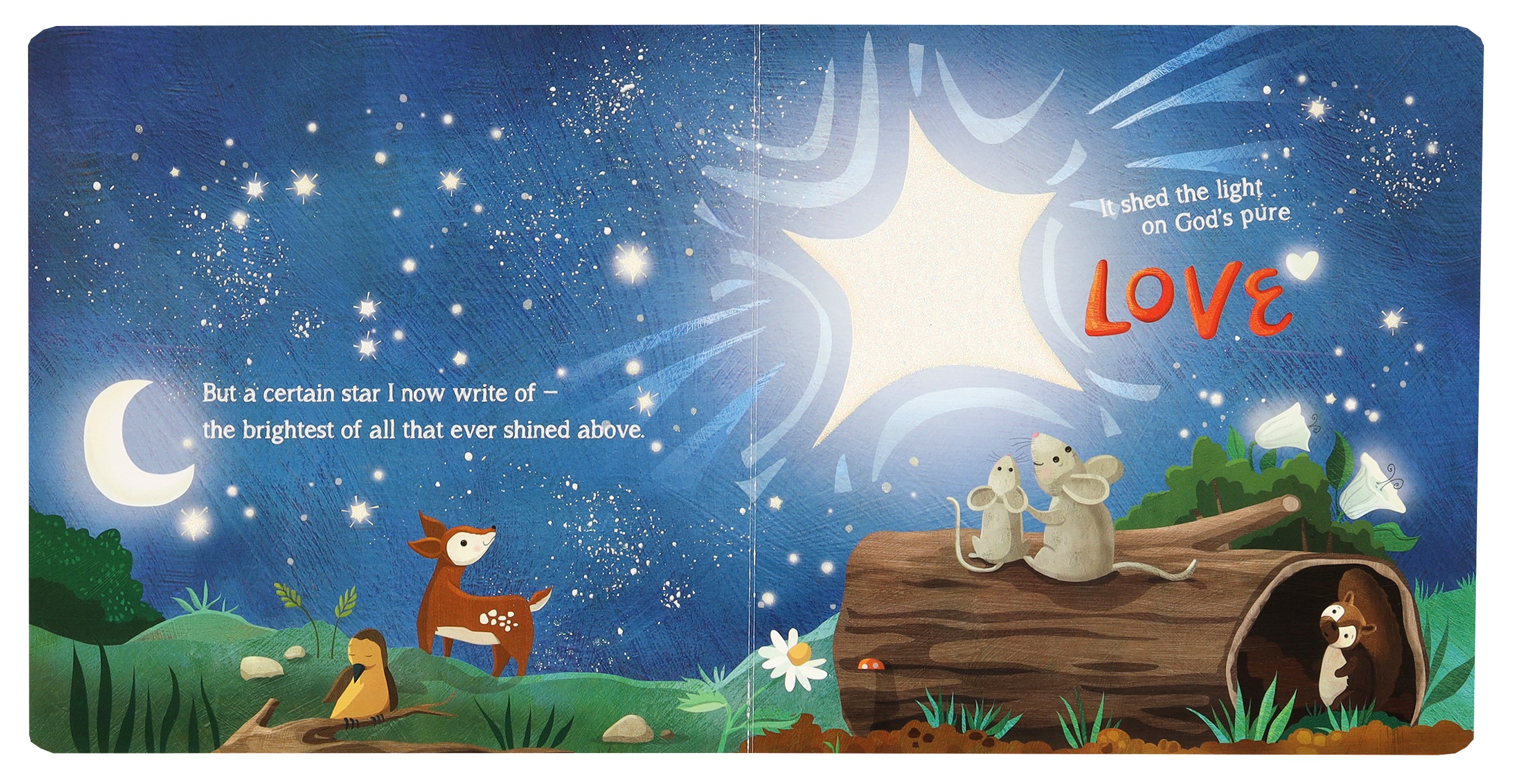See the Creator When You See... (3 Book Boxed Set)
