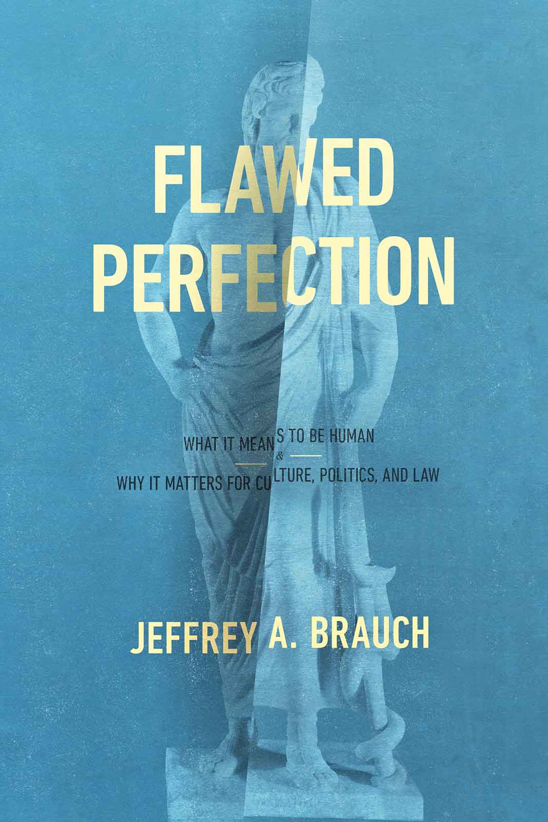 Flawed Perfection: What It Means to Be Human and Why It Matters For Culture, Politics, and Law