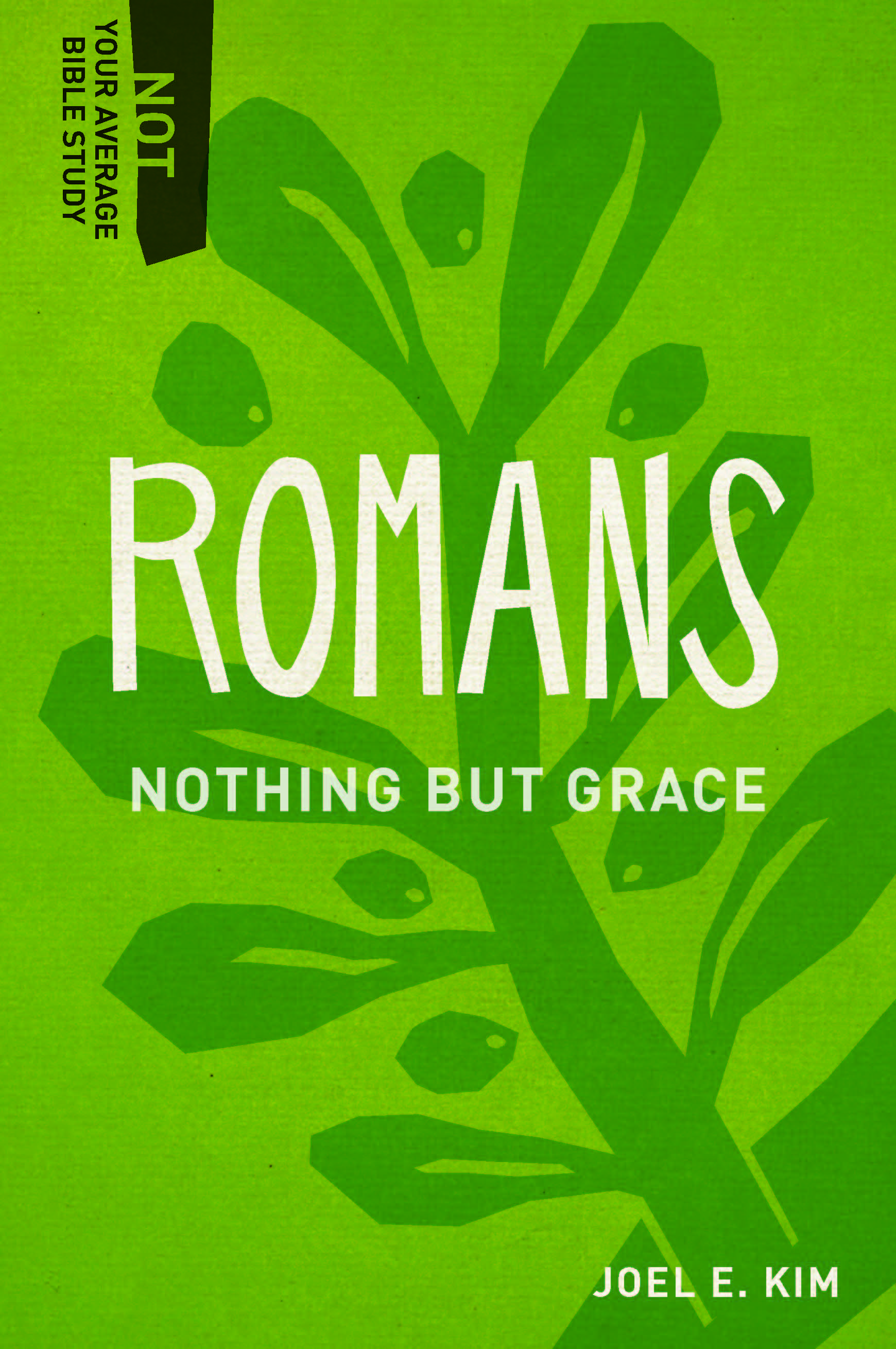 Romans - Nothing But Grace (Not Your Average Bible Study Series)