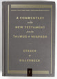 Matthew (#01 in Commentary On The New Testament From The Talmud And Midrash Series)