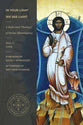 In Your Light We See Light: A Reformed Theology of Divine Illumination (Studies in Historical and Systematic Theology Series)