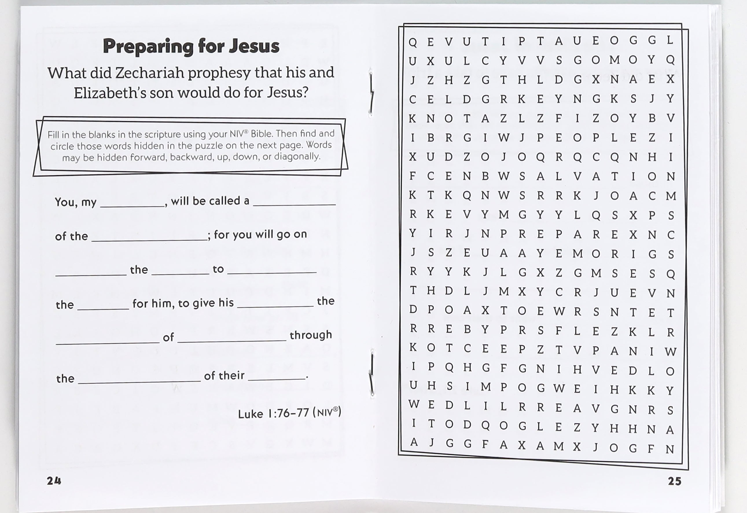 The Meaning of Christmas Word Search (Itty Bitty Bible Series)