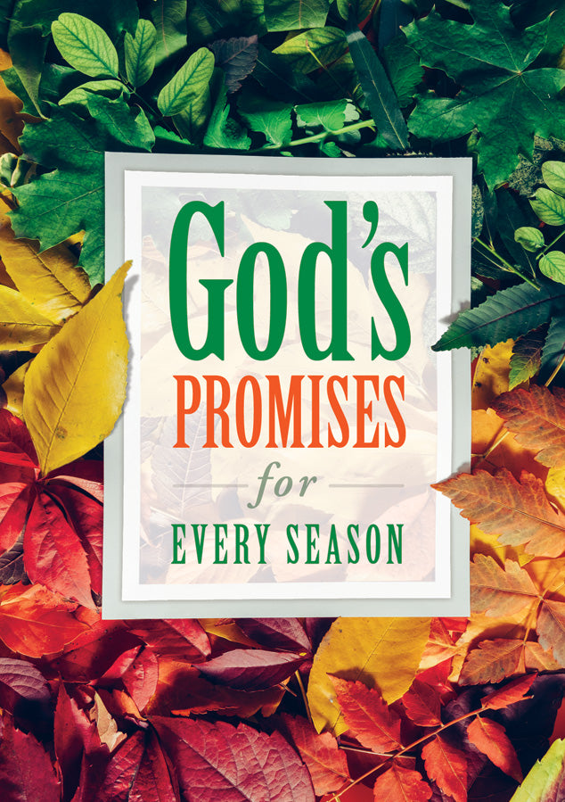 God's Promises for Every Season (NLT, NIV, KJV)