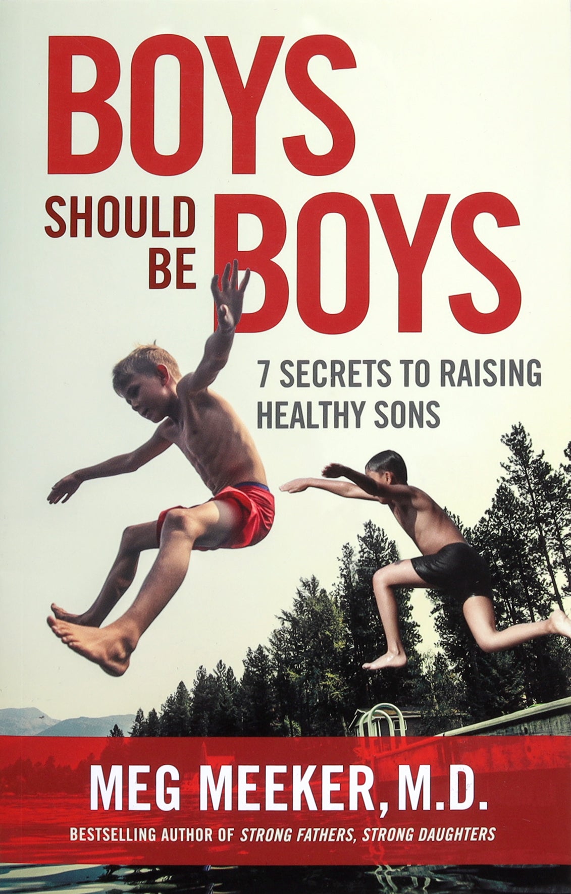 Boys Should Be Boys: 7 Secrets to Raising Healthy Sons