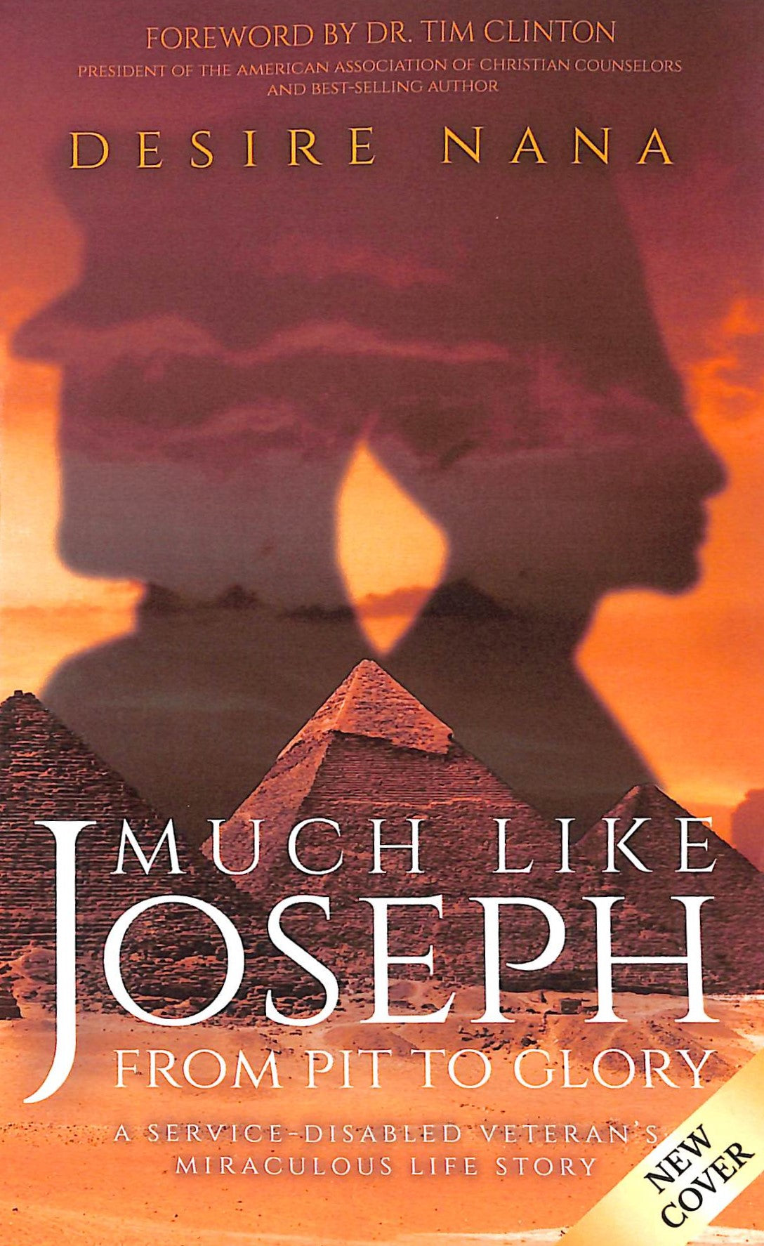 Much Like Joseph: From Pit to Glory