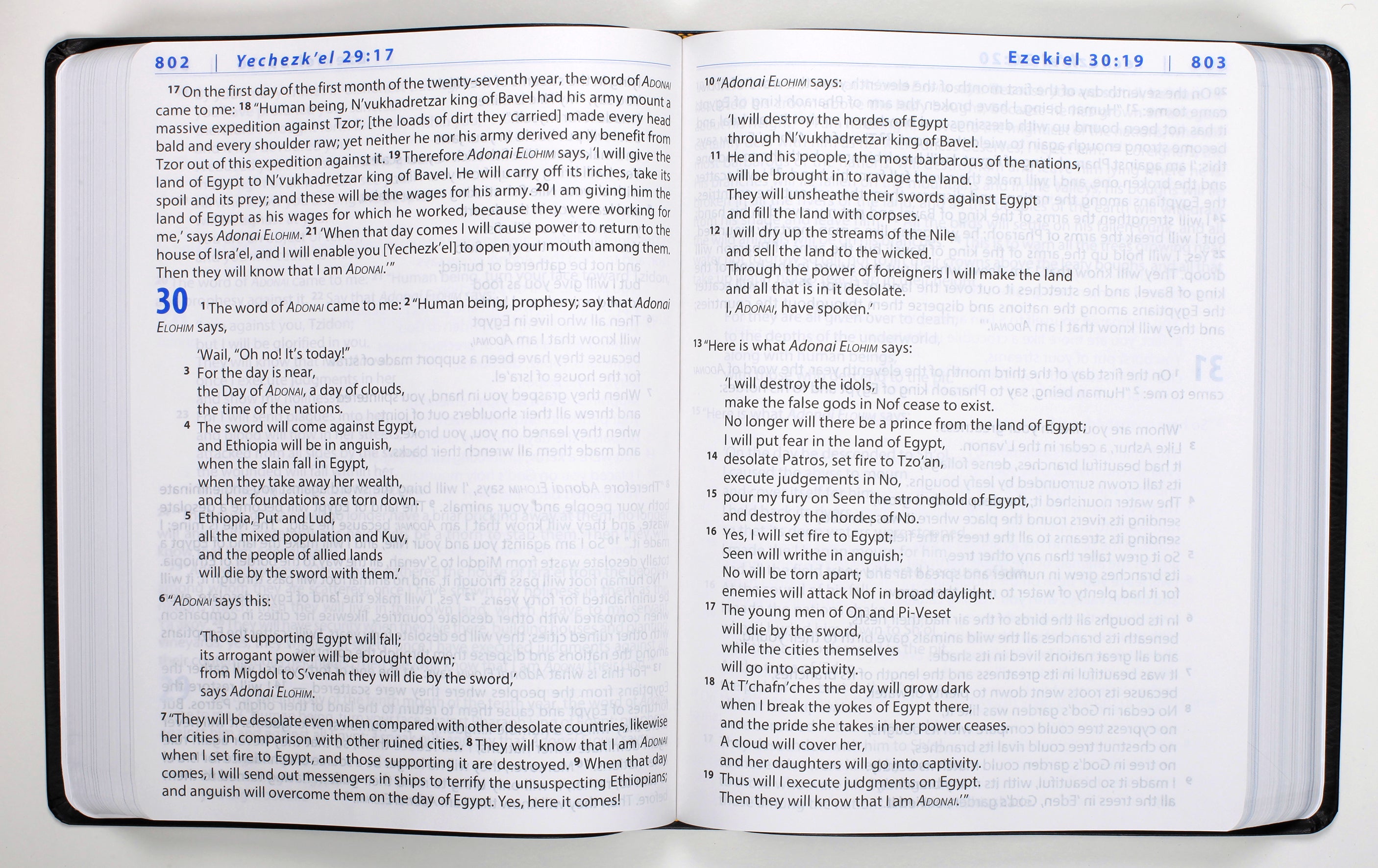 Complete Jewish Bible Giant Print English Version