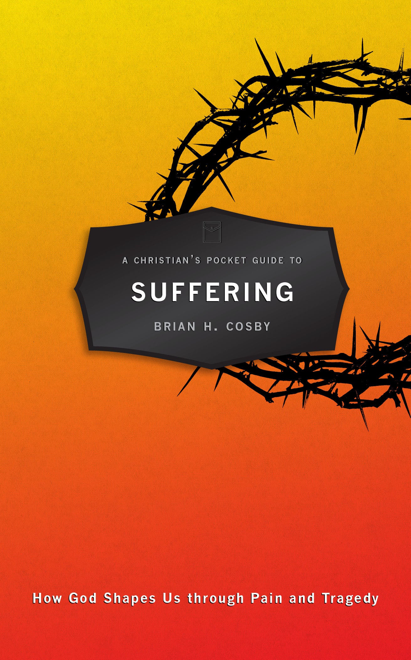 Suffering: How God Shapes Us Through Pain and Tragedy (A Christian's Pocket Guide Series)
