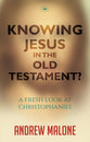 Knowing Jesus in the Old Testament? a Fresh Perspective on Christophanies