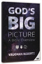 God's Big Picture (With Downloadable Small Group Resources)