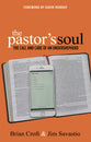 The Pastor's Soul: The Call and Care of An Undershepherd