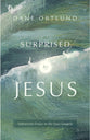 Surprised By Jesus: Subversive Grace in the Four Gospels