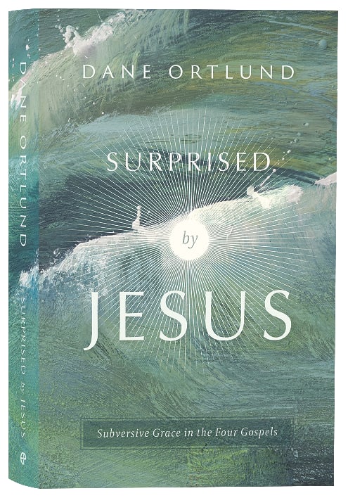 Surprised By Jesus: Subversive Grace in the Four Gospels