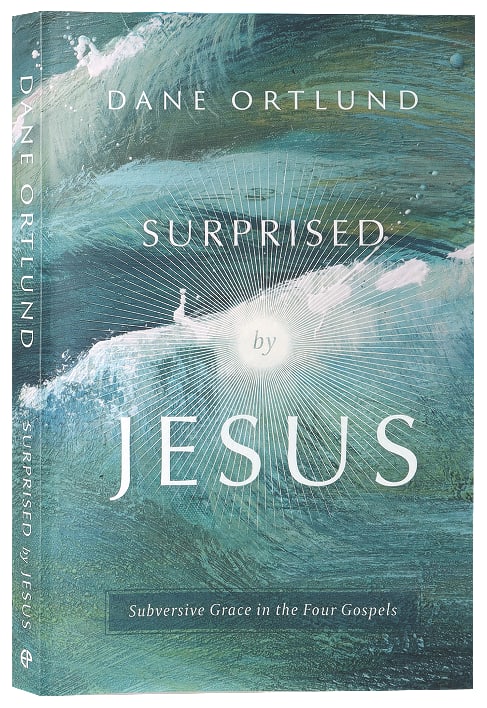 Surprised By Jesus: Subversive Grace in the Four Gospels