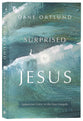 Surprised By Jesus: Subversive Grace in the Four Gospels