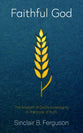 Faithful God: The Wisdom of God’s Sovereignty in the Book of Ruth