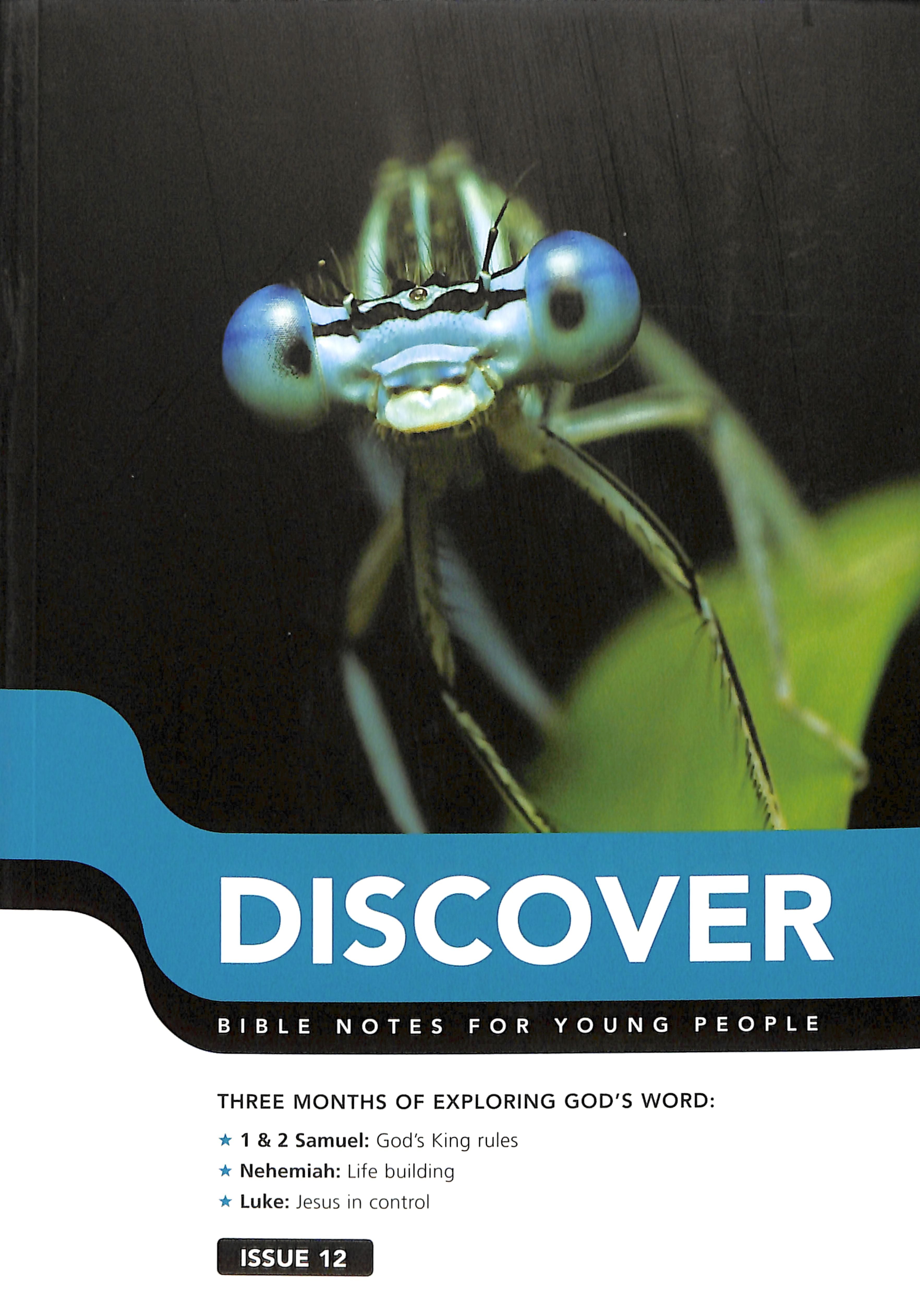 1 Samuel, 2 Samuel, Nehemiah, Luke (#12 in Discover Bible Notes For Young People Series)