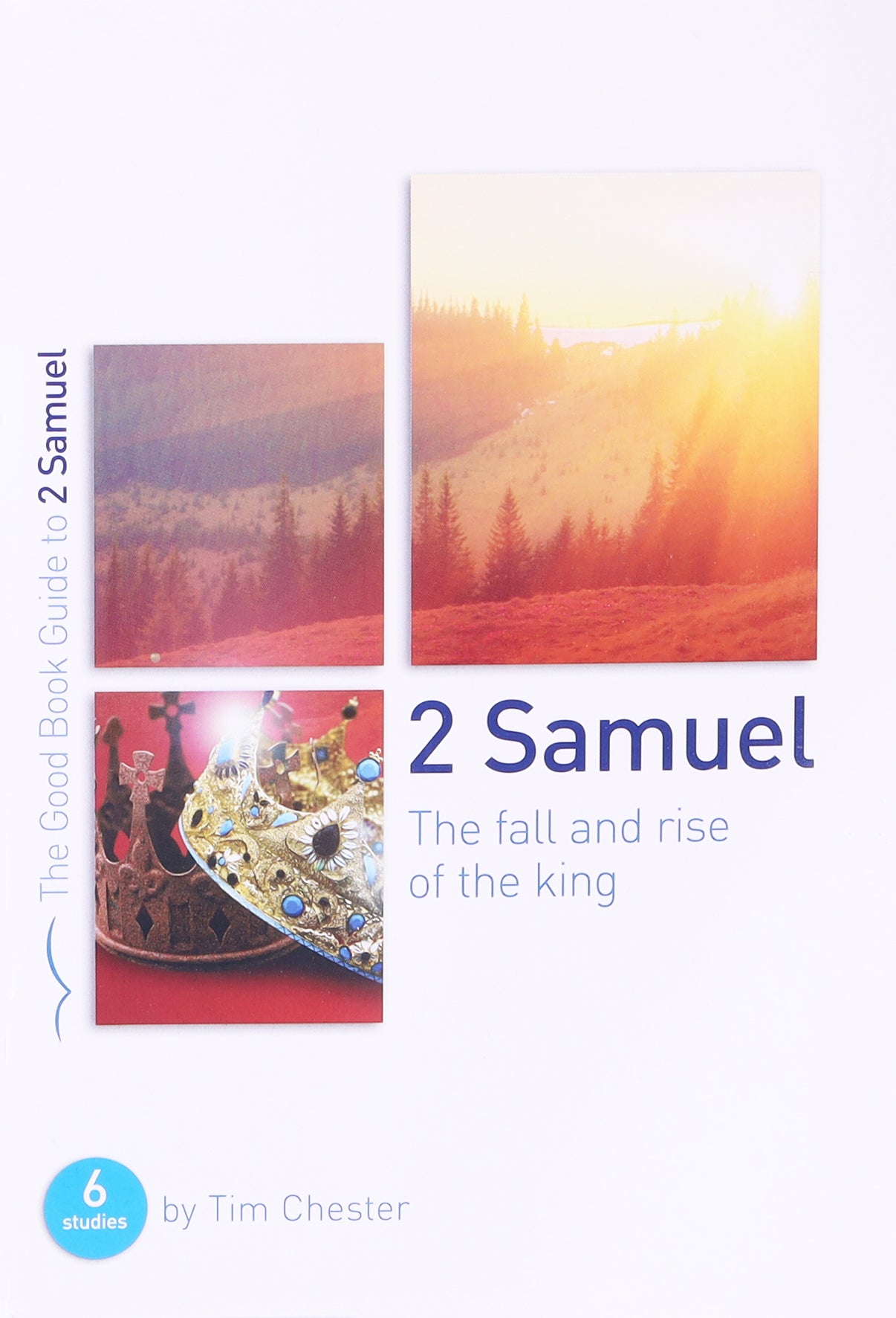 2 Samuel: The Fall and Rise of the King (Good Book Guides Series)