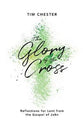 The Glory of the Cross: Reflections For Lent From the Gospel of John