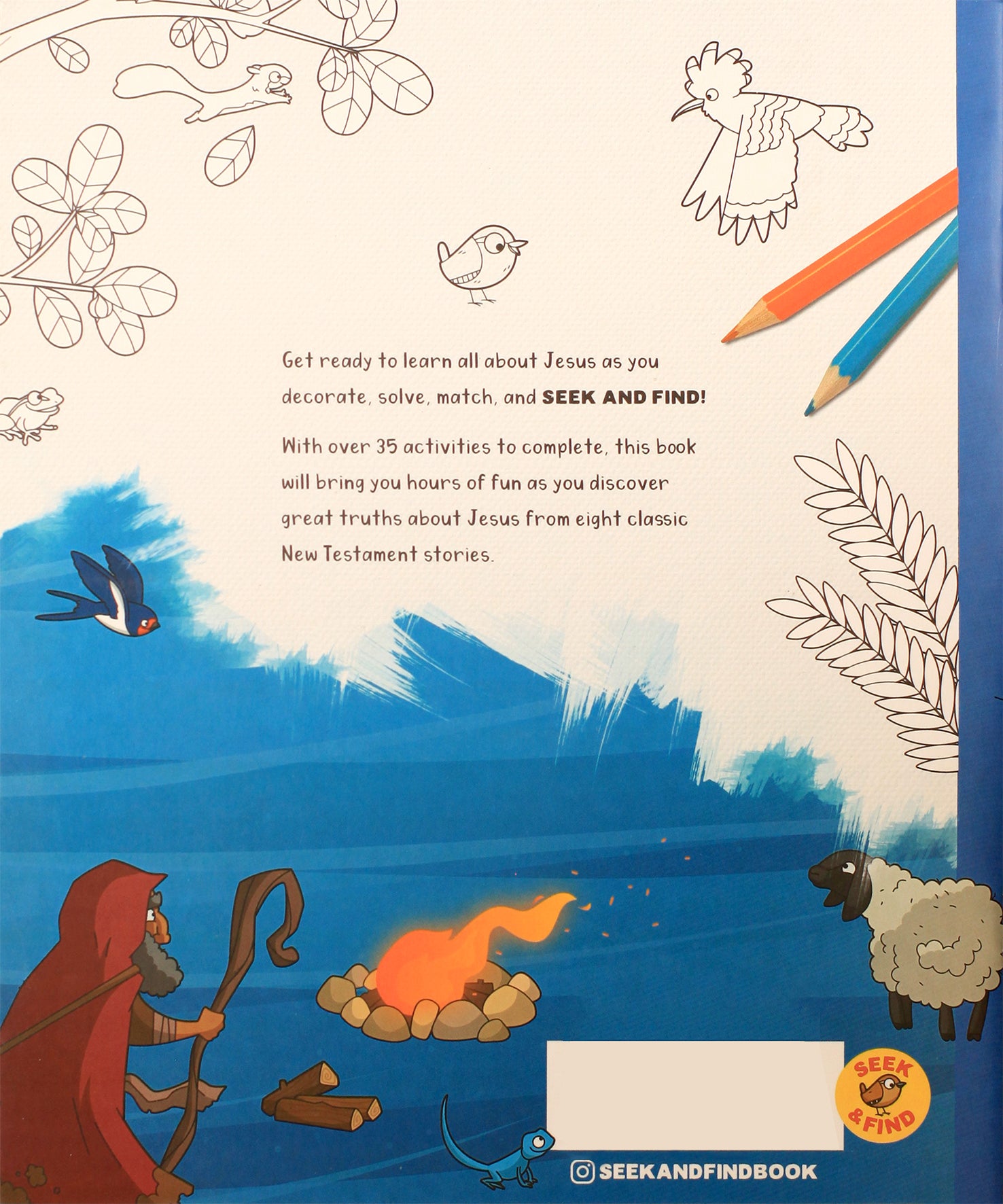 Seek and Find: New Testament Activity Book: Learn All About Jesus!