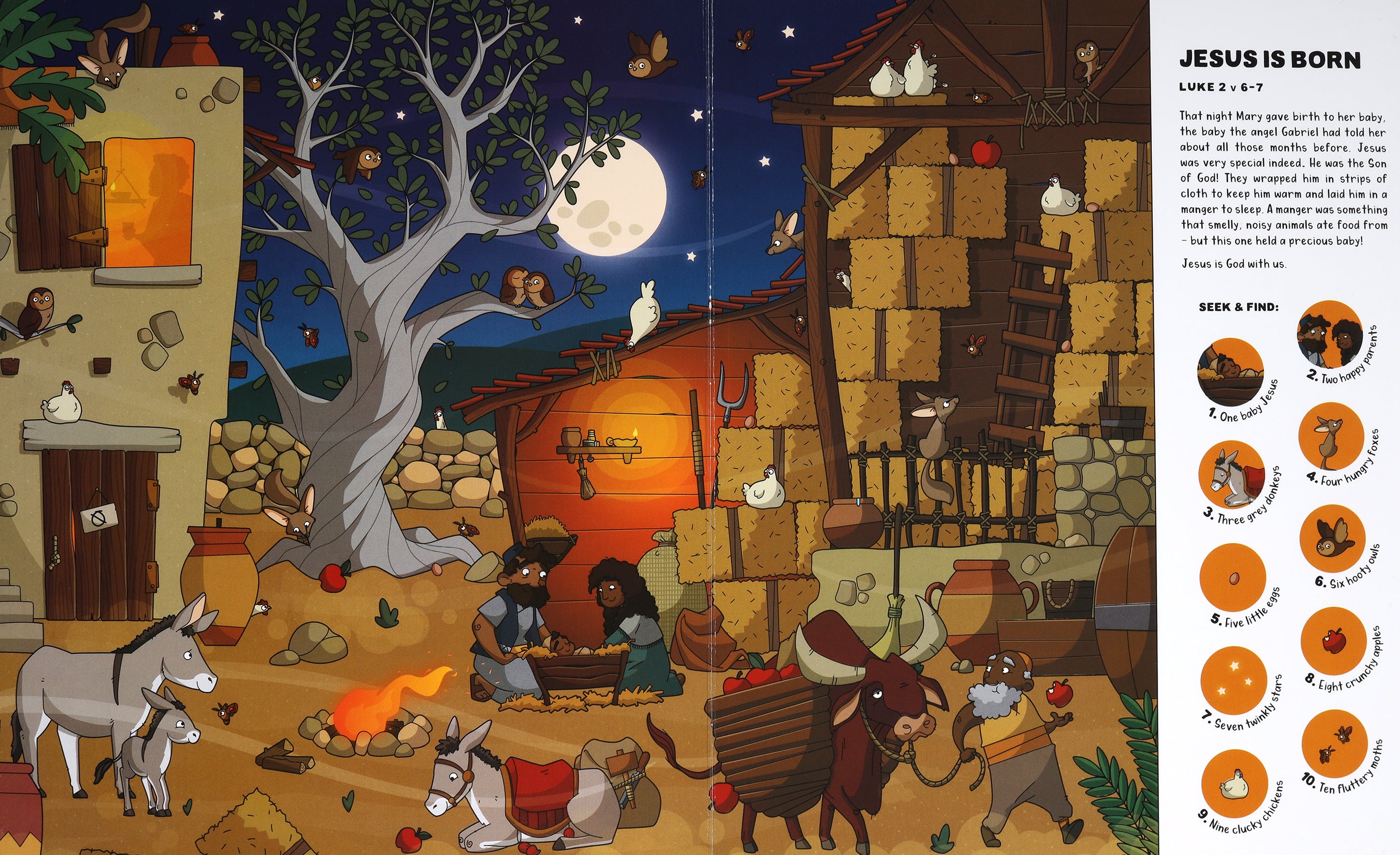 Seek and Find: The First Christmas: With Over 450 Things to Find and Count!