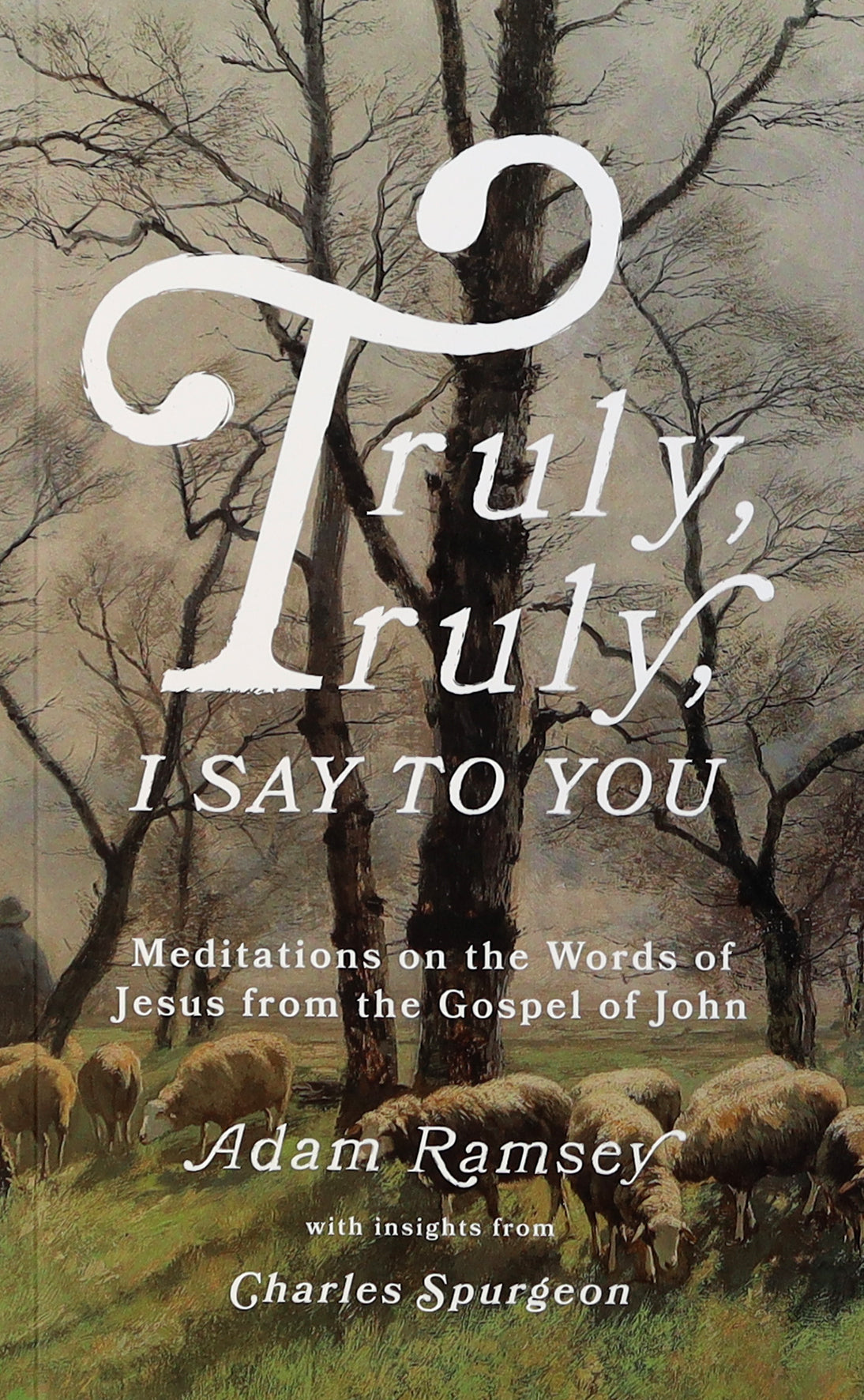 Truly, Truly, I Say to You: Meditations on the Words of Jesus From the Gospel of John
