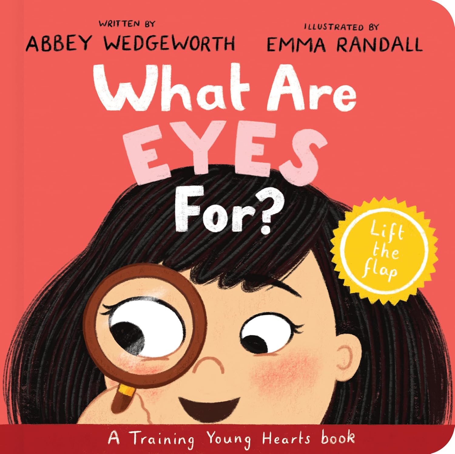 What Are Eyes For? A Lift-the-Flap Board Book (Training Young Hearts Series)