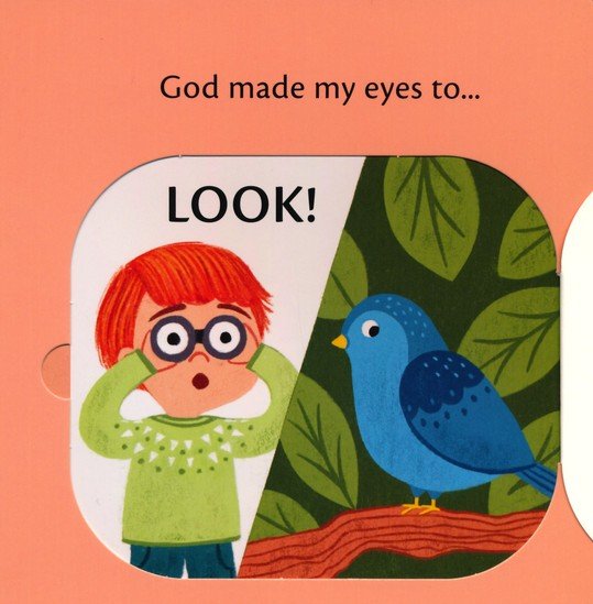 What Are Eyes For? A Lift-the-Flap Board Book (Training Young Hearts Series)