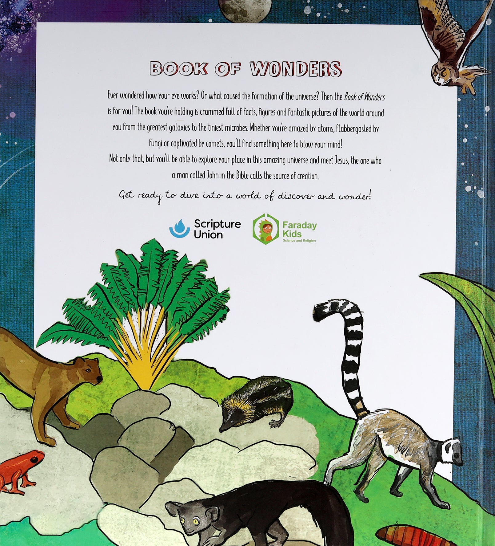 Book of Wonders: Exploring the Great Mysteries of the Universe