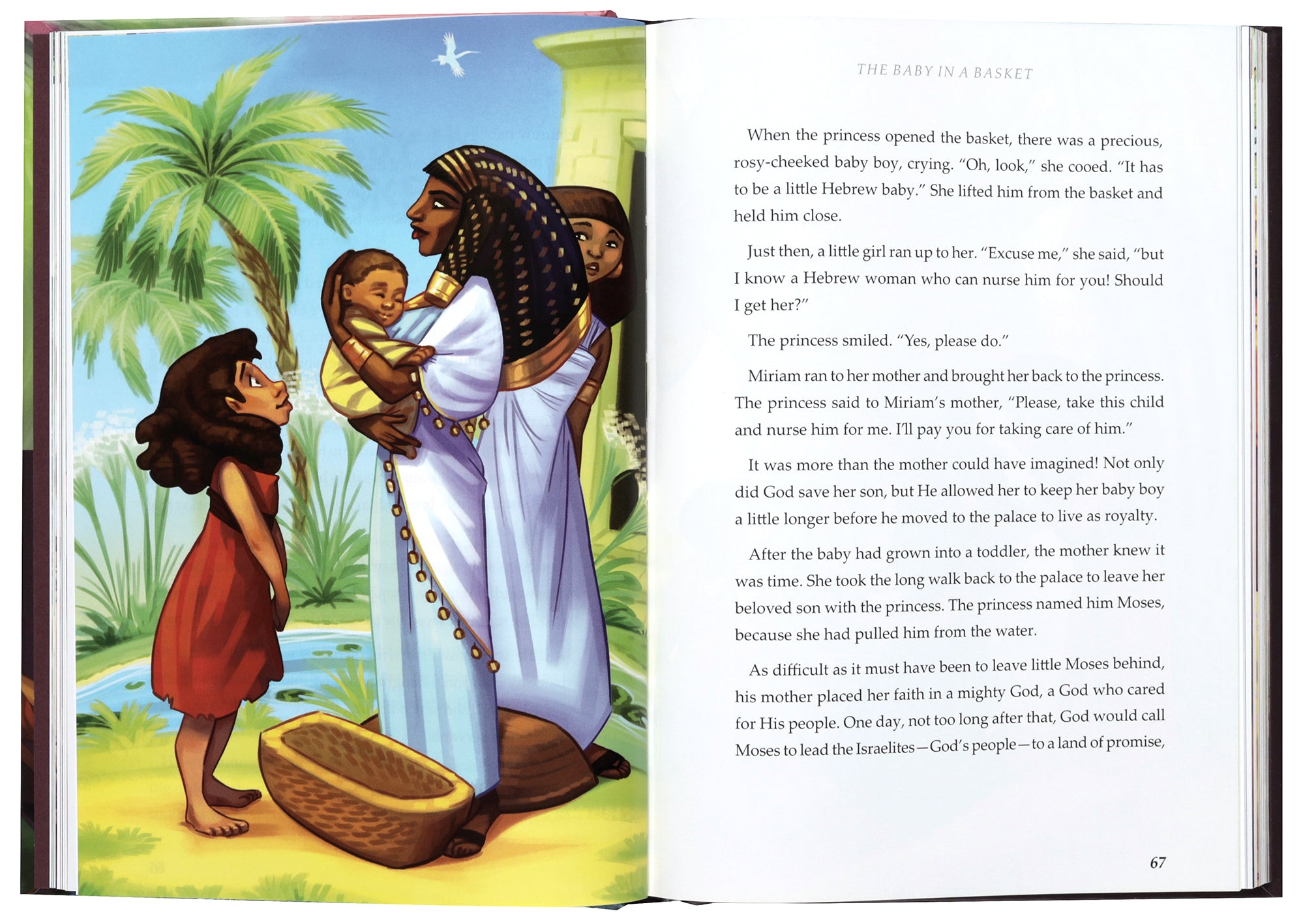 God's Amazing Plan Bible