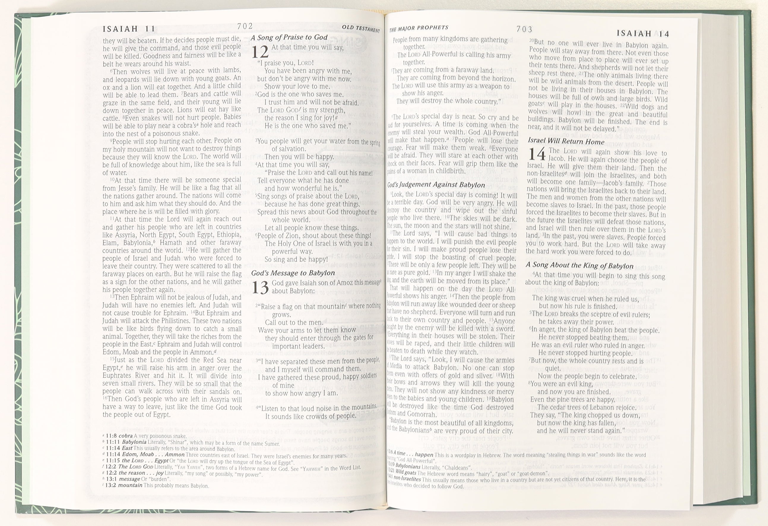 ERV Anglicised Bible Floral