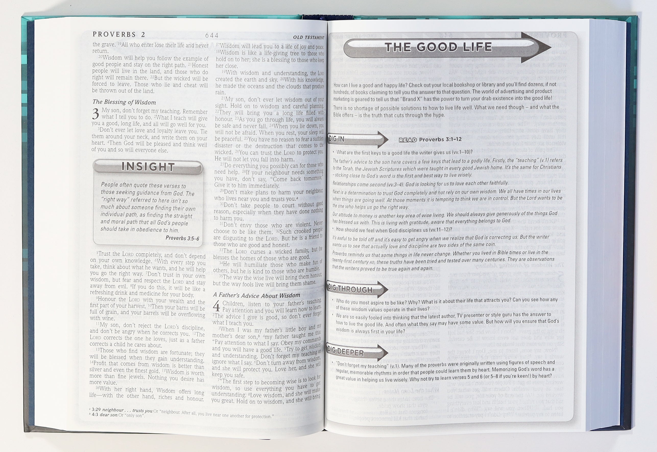 ERV Anglicised Bible Teal