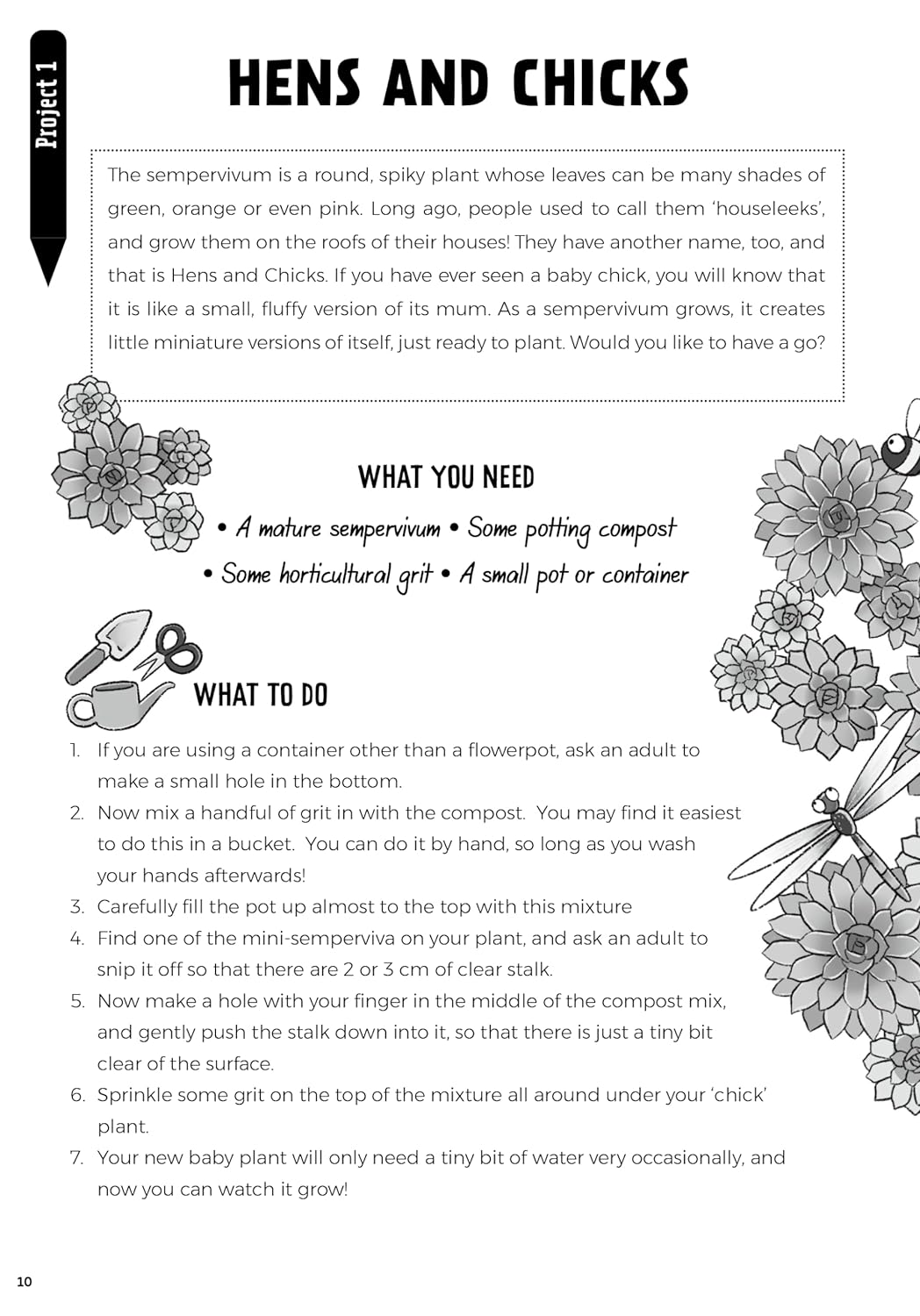Make It Grow: Garden Projects, Payers, and Fun Facts to Help You Care for God's Planet