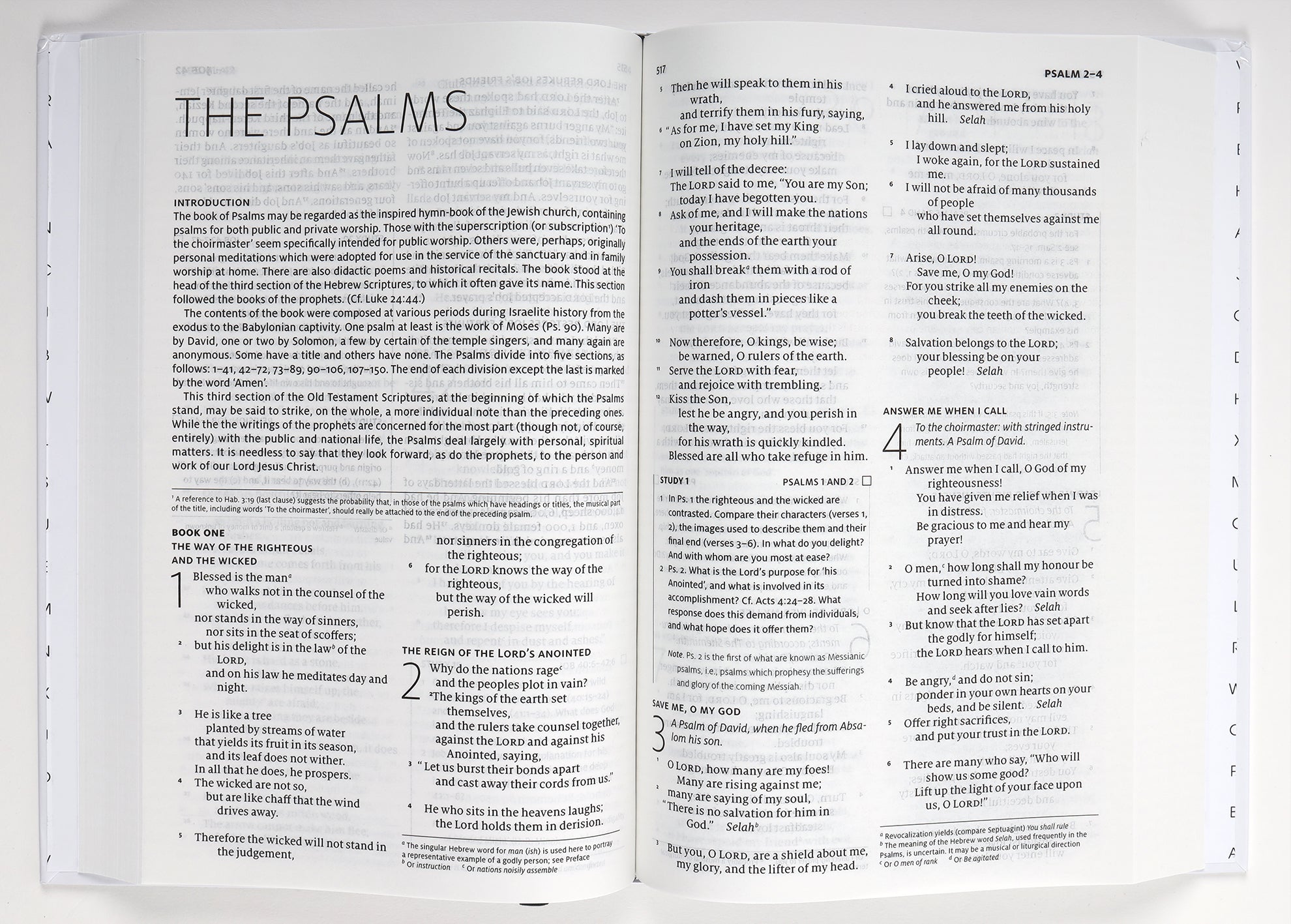 ESV Search the Scriptures Bible